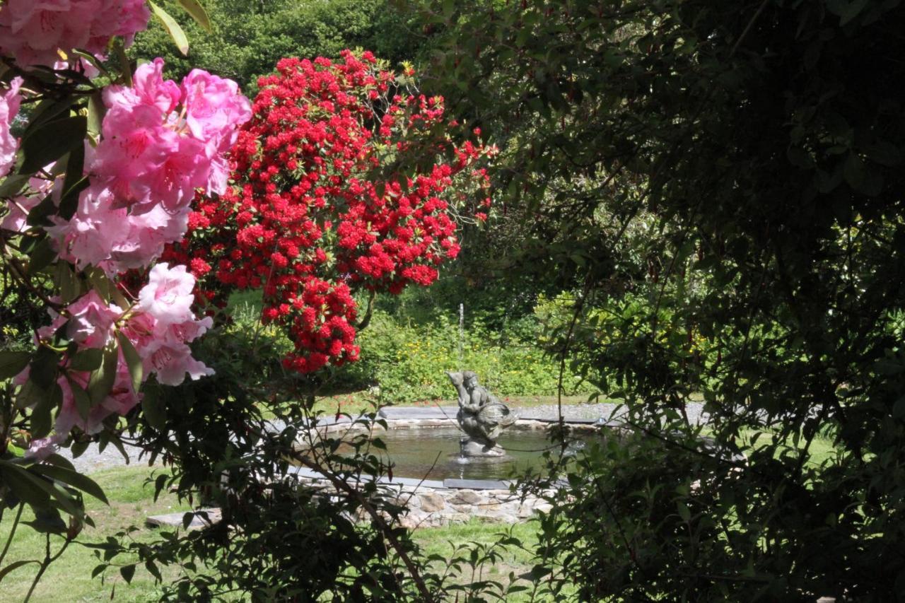 Devon Country Paradise Tavistock  Extérieur photo