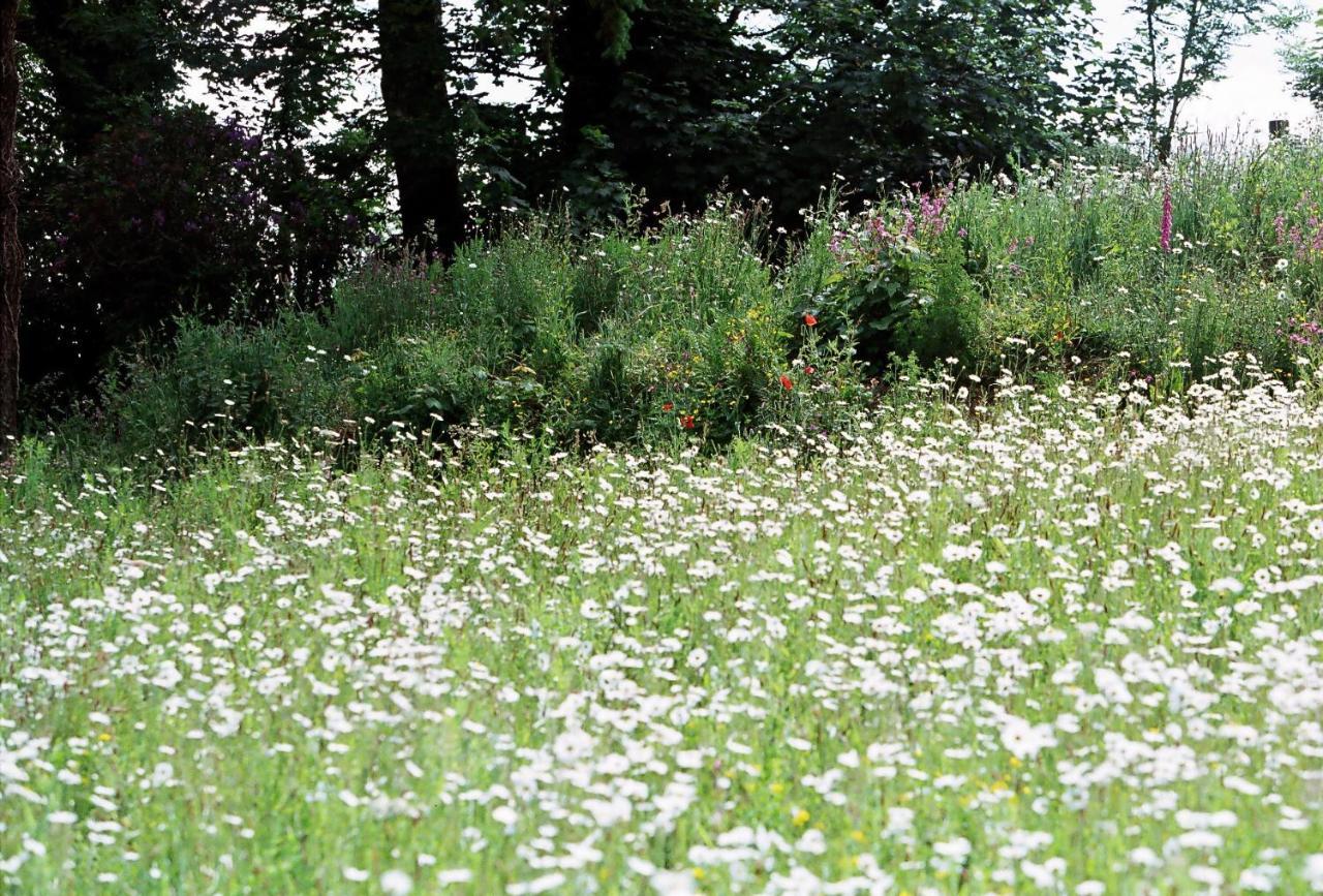 Devon Country Paradise Tavistock  Extérieur photo