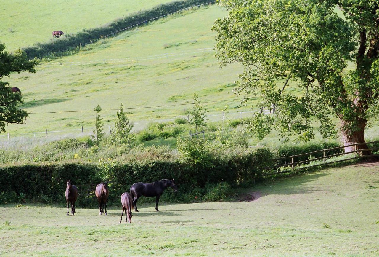 Devon Country Paradise Tavistock  Extérieur photo