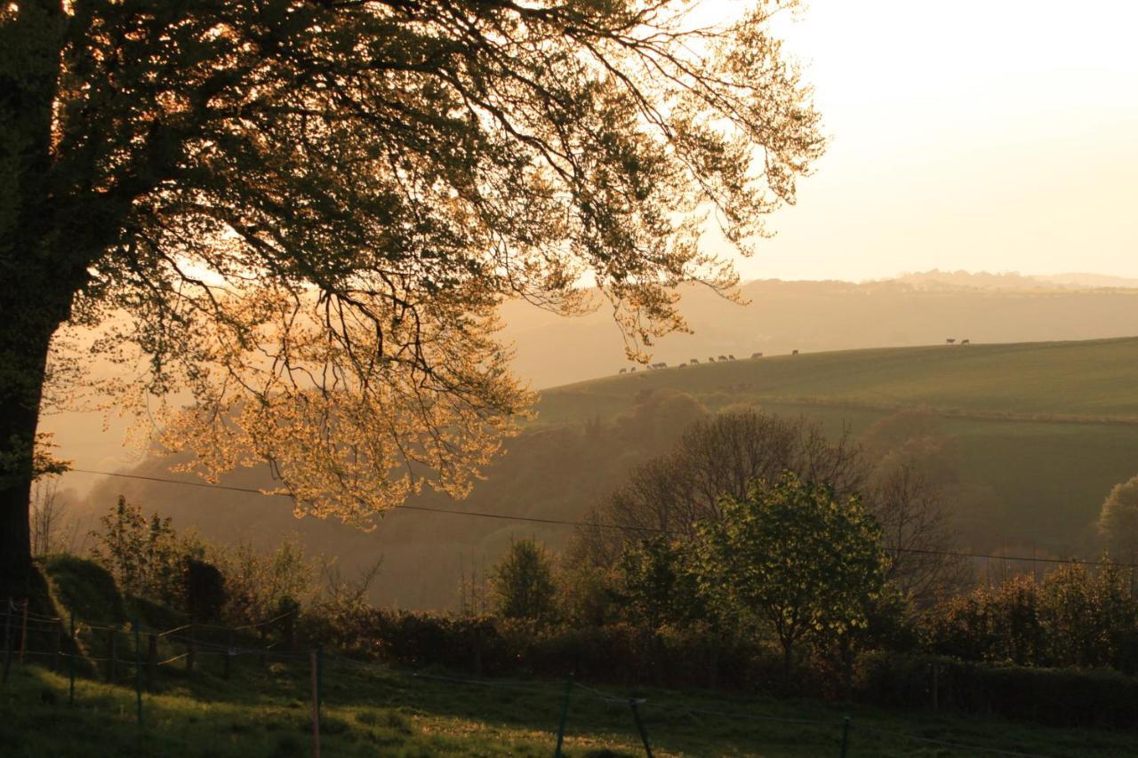 Devon Country Paradise Tavistock  Extérieur photo