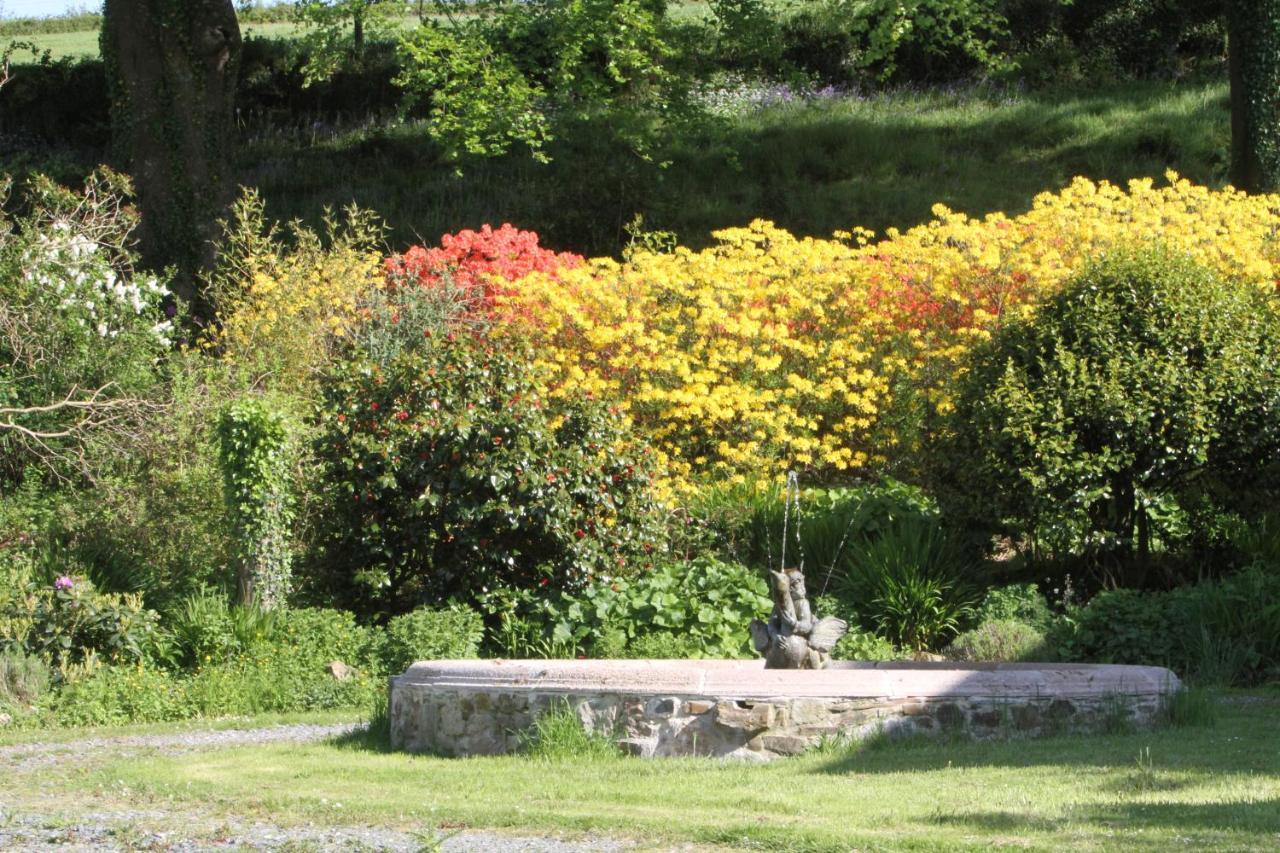 Devon Country Paradise Tavistock  Extérieur photo